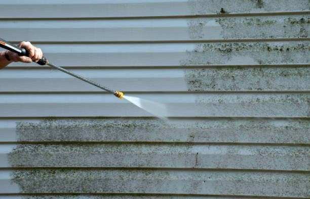 Best Gutter Cleaning  in Brownstown, IN